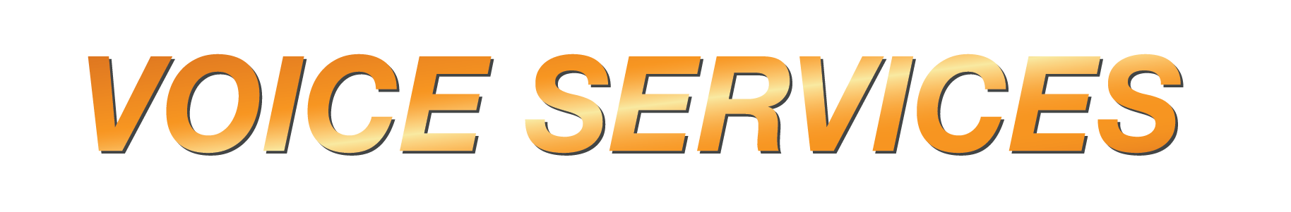 Voice Services-01